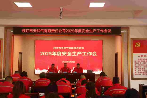 攜手共筑安全防線，共創(chuàng)安全生產(chǎn)新篇章——2025年度安全生產(chǎn)工作會(huì)議圓滿召開